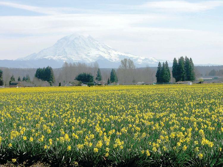 day trips from puyallup wa