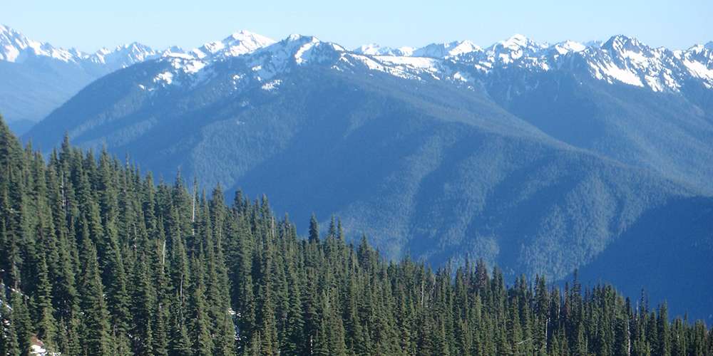 Mountain in Washington State
