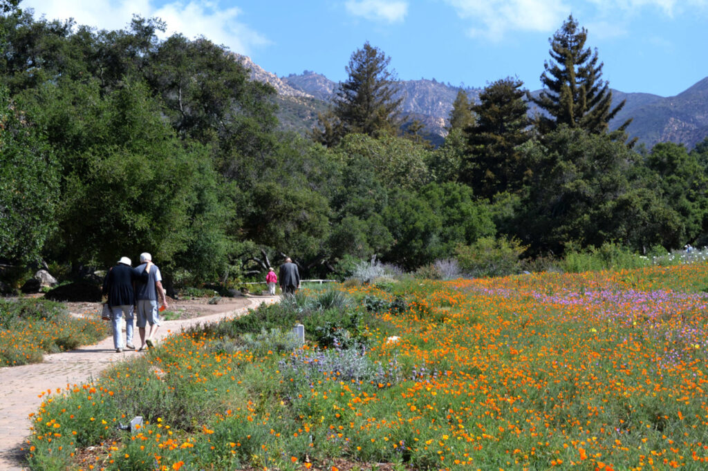 Botanical garden in Mission Canyon, California
