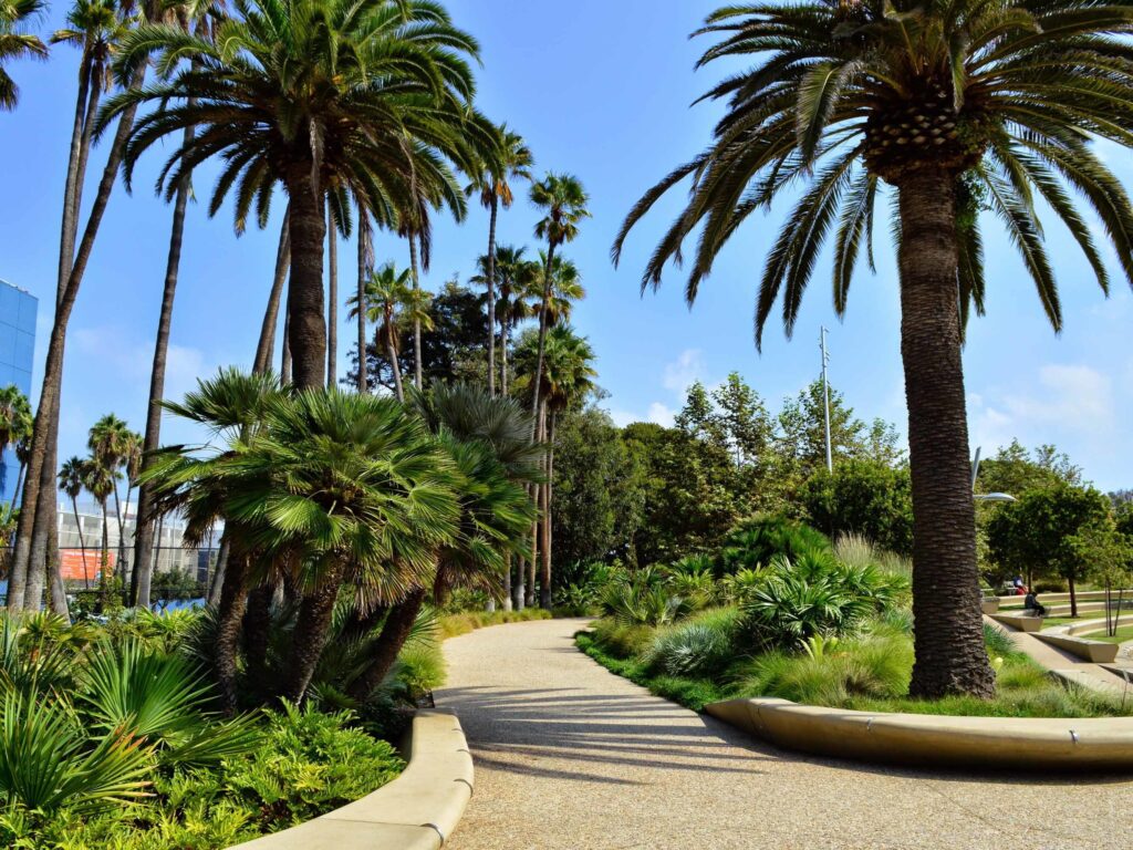 Park in Santa Monica, California
