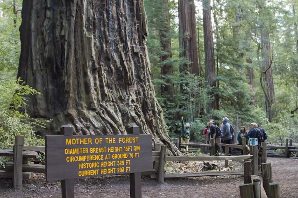 State park in California
