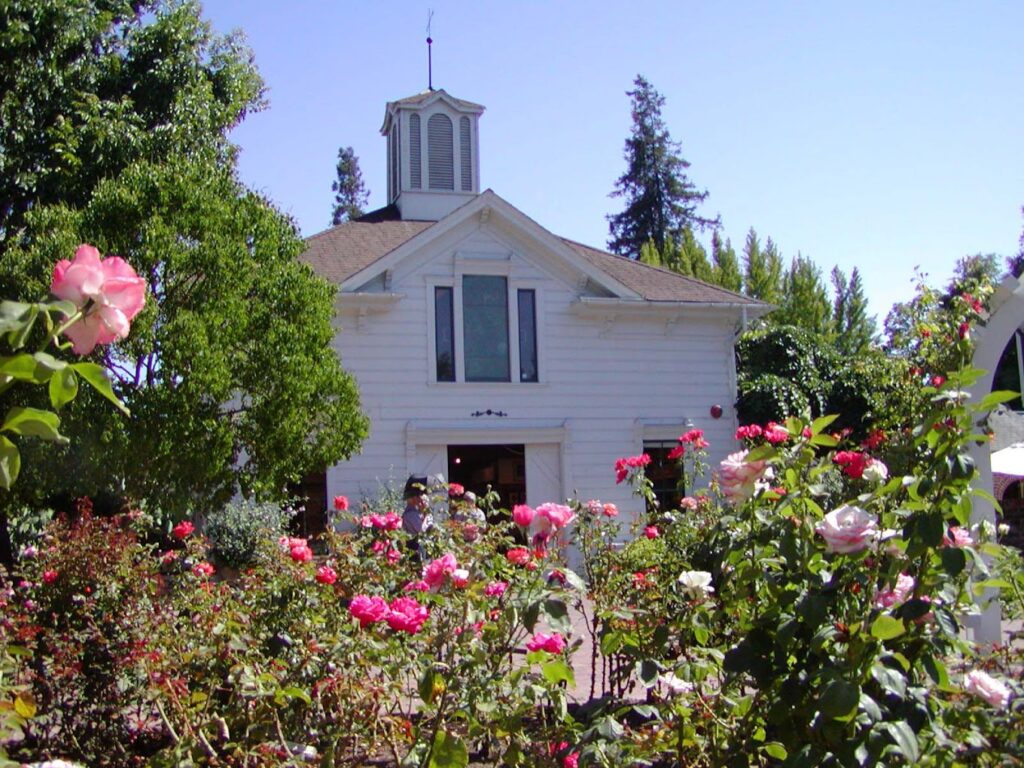 Garden in Santa Rosa, California