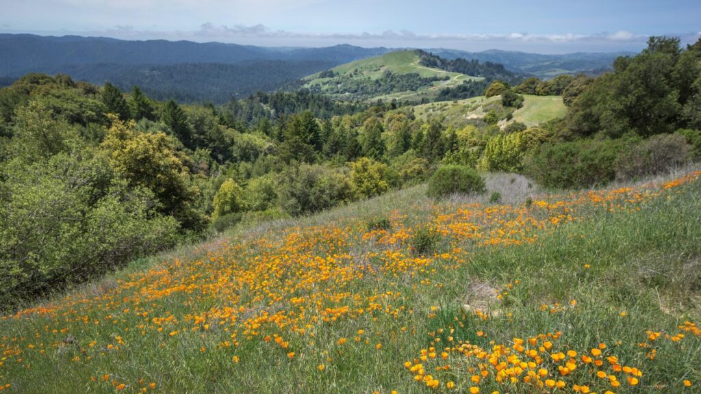 Nature preserve in California
