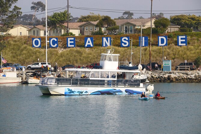 Best whale watching tour in oceanside, California