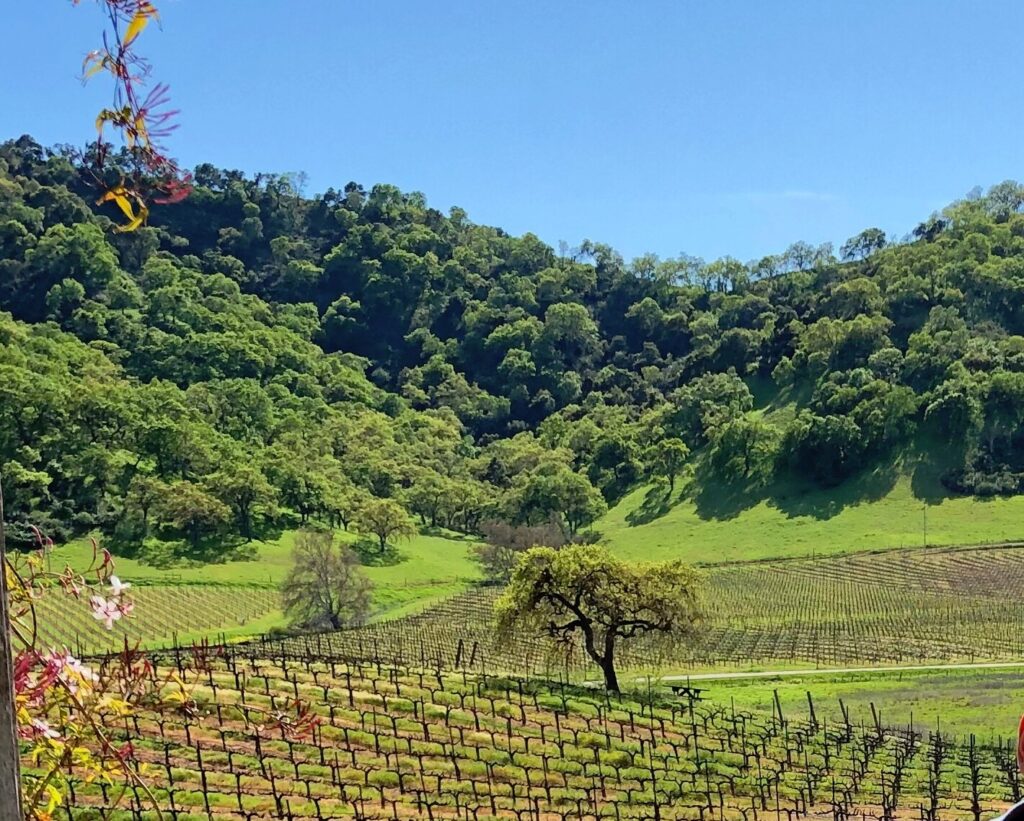 Winery in Santa Clara, CA