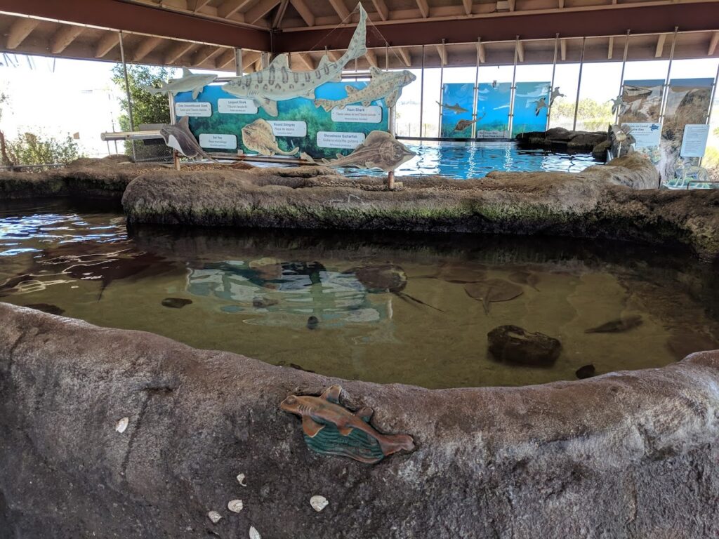 Aquarium in Chula Vista, California
