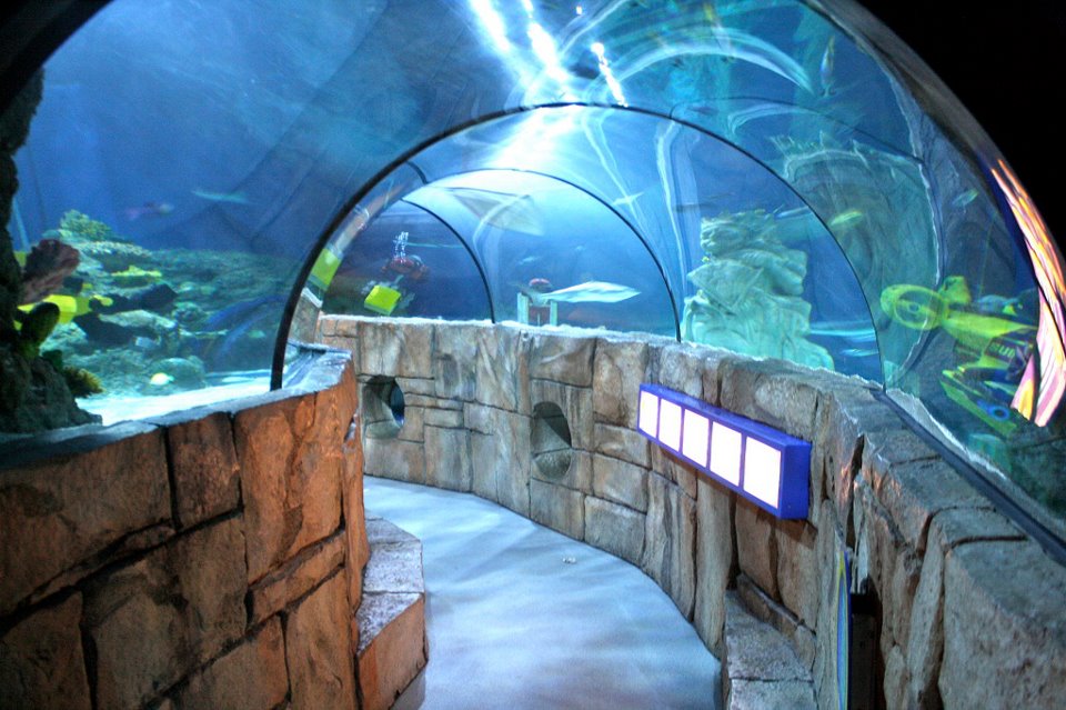 Aquarium in Carlsbad, California
