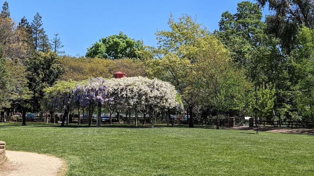 Arboretum in Concord, California
