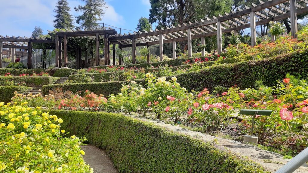 Garden in Berkeley, California
